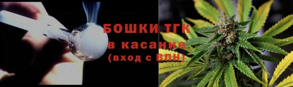 PSILOCYBIN Няндома