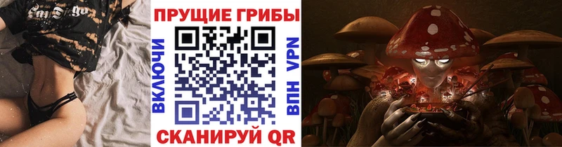 Псилоцибиновые грибы прущие грибы  Прохладный 